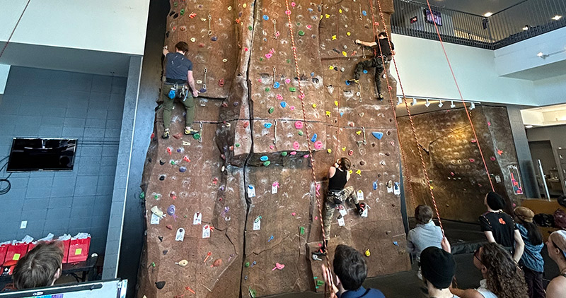 A diverse group of individuals skillfully climbing a rock wall